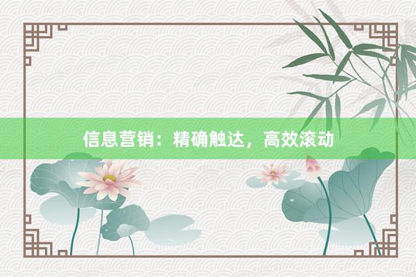 信息营销：精确触达，高效滚动